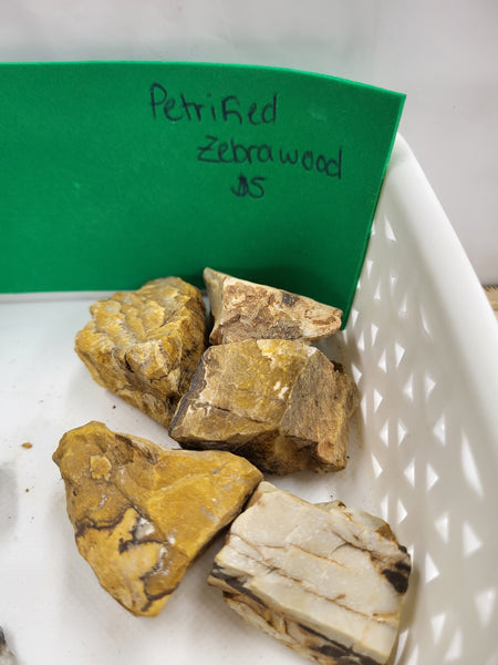 Petrified Zebrawood