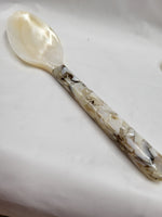 Sheva Shell spoons