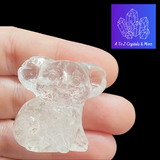 Quartz Koala