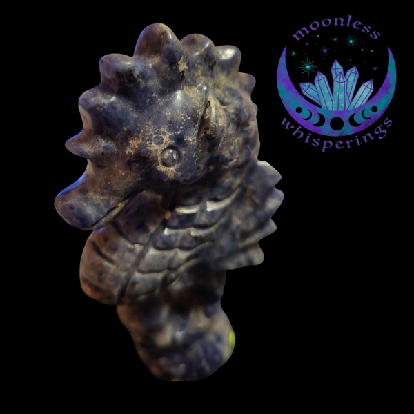 Sodalite Sea Horse